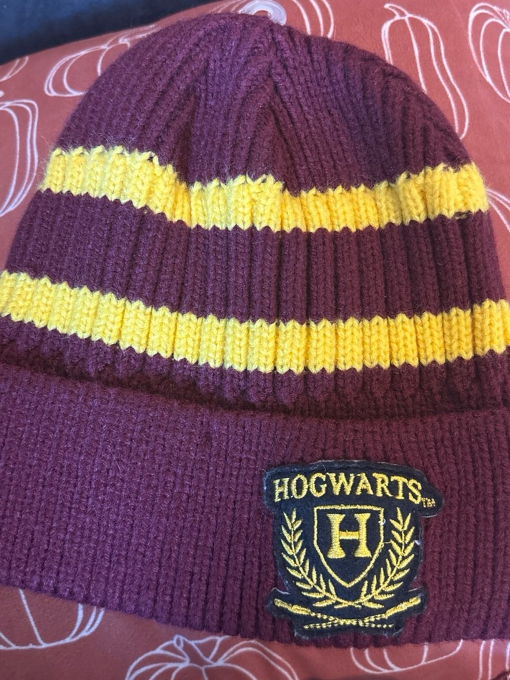 Warner Bros. Hogwarts Knit Cap in Burgundy and Yellow